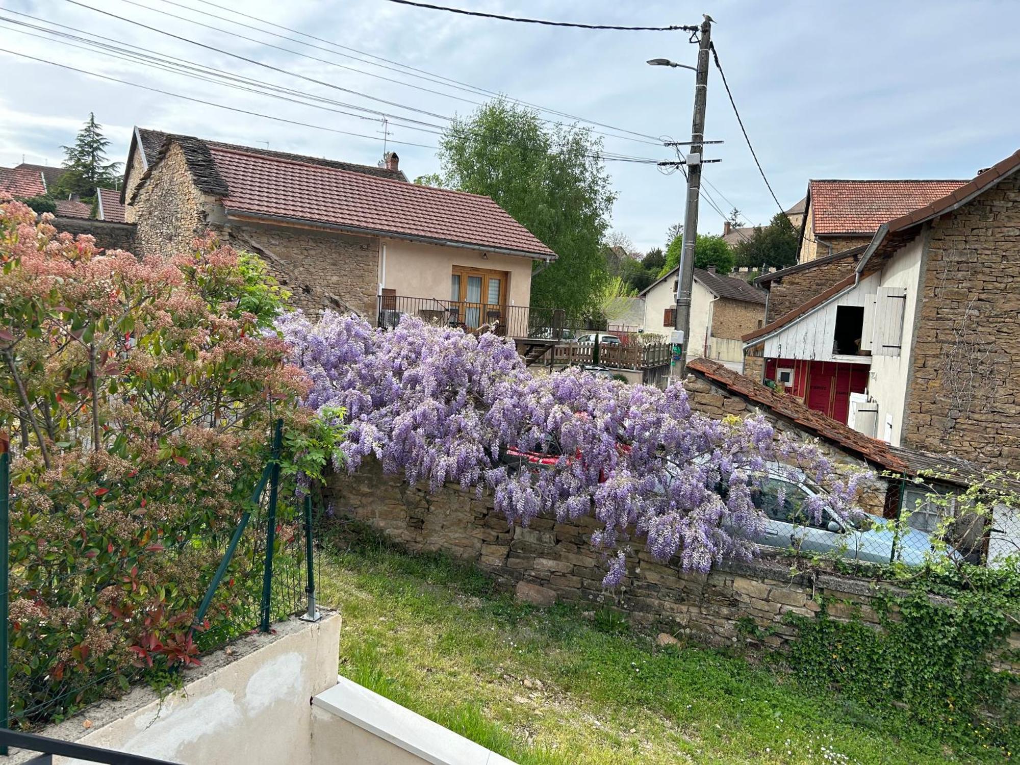 Вілла Les Glycines Hieres-Sur-Amby Екстер'єр фото